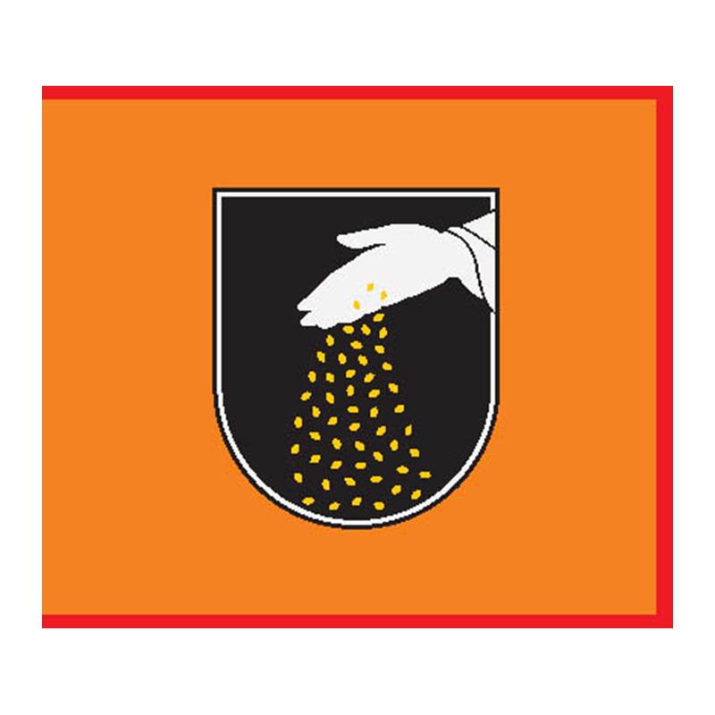 Ginkunai City Flag N1089 A4 Photo Print
