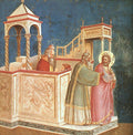 Giotto12 5 A4 Photo Print