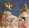 Giotto14 5 A4 Photo Print