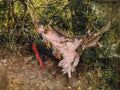 Giovanni Boldini The Hammock 5 A4 Photo Print