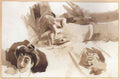 Giovanni Boldini a young beauty reading Art A4 Photo Print