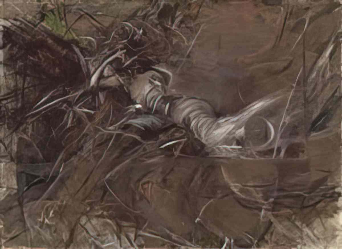 Giovanni Boldini figura di donna distesa 1 Art A4 Photo Print