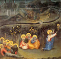 Giovanni Di Paolo Paolo10 5 A4 Photo Print