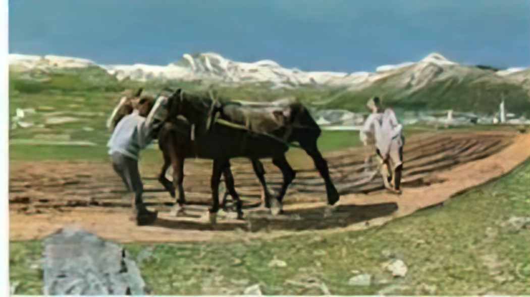 Giovanni Segantini das pfl gen 1890 Art A4 Photo Print UK