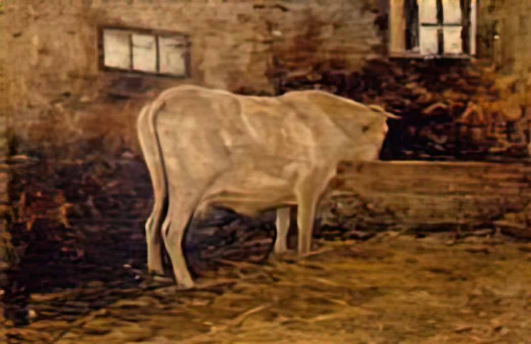 Giovanni Segantini giovanni segantini kuh im stall Art A4 Photo Print UK