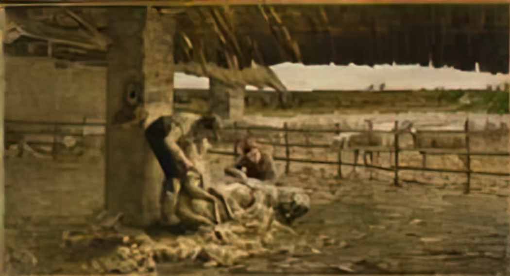 Giovanni Segantini giovanni segantini the sheepshearing Art A4 Photo Print UK