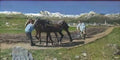 Giovanni Segantini muenchen neue pinakothek segantini ploughing Art A4 Photo Print UK
