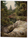 Glacier Garden the pots Lucerne Vintage A4 Photo Print