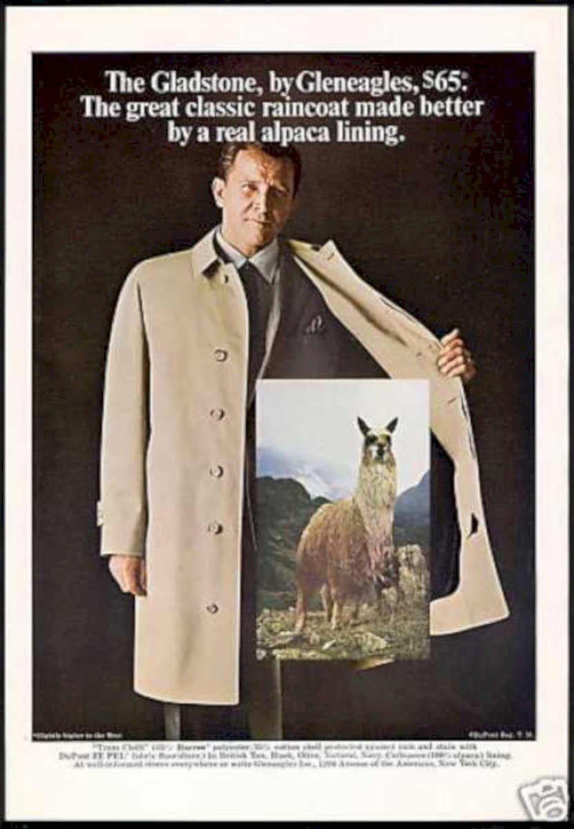 Gladstone Raincoat Llama Vintage Retro Advert Ads A4 Photo Print