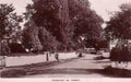 Glamorganshire Cardiff Fairwater 1910s Vintage A4 Photo Print
