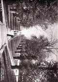 Gloucestershire Bristol Cotham Lovers Walk 1910s vintage old A4 Photo Print