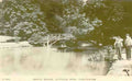 Gloucestershire Cheltenham Pittville Park Rustic Bridge 1900s Vintage A4 Photo Print