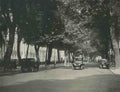 Gloucestershire Cheltenham The Promenade c1930s Vintage A4 Photo Print
