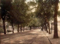 Gloucestershire Cheltenham Towards High Street Vintage A4 Photo Print