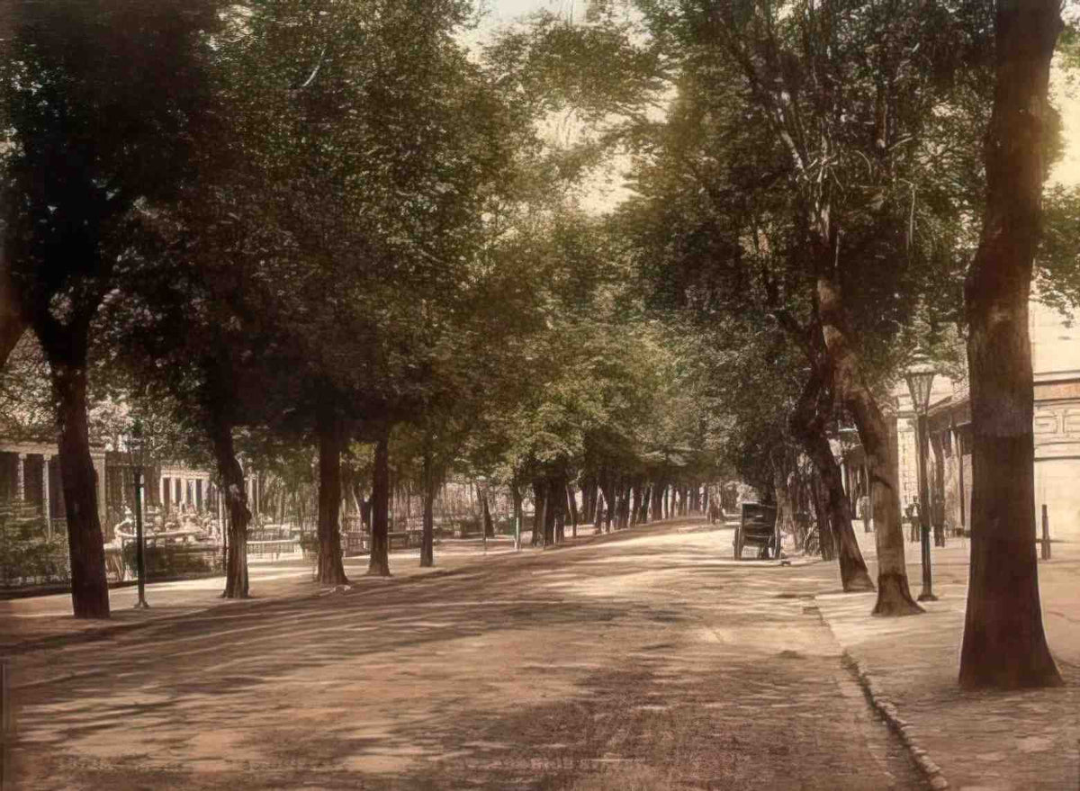 Gloucestershire Cheltenham Towards High Street Vintage A4 Photo Print