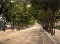 Gloucestershire Cheltenham Vintage A4 Photo Print