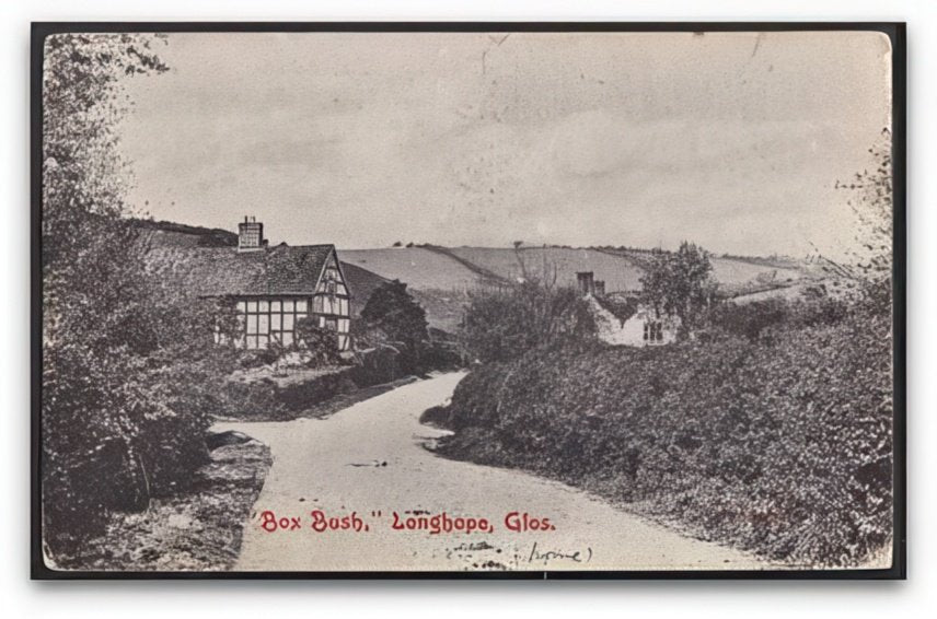Gloucestershire Longhope Box Bush House On Country Lane Rural Vintage A4 Photo Print