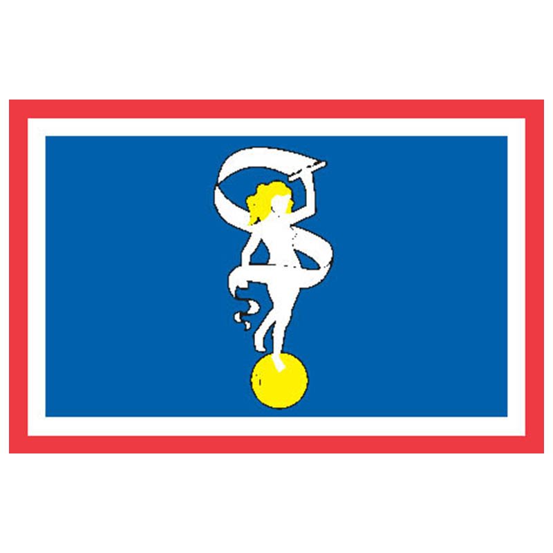 Gluckstadt City Flag N5133 A4 Photo Print