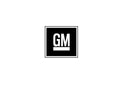 Gm Logo A4 Photo Print