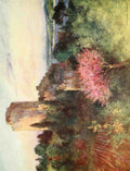 Goble Warwick Constantinople 1906 Roumeli Hissar Castle A4 Photo Print