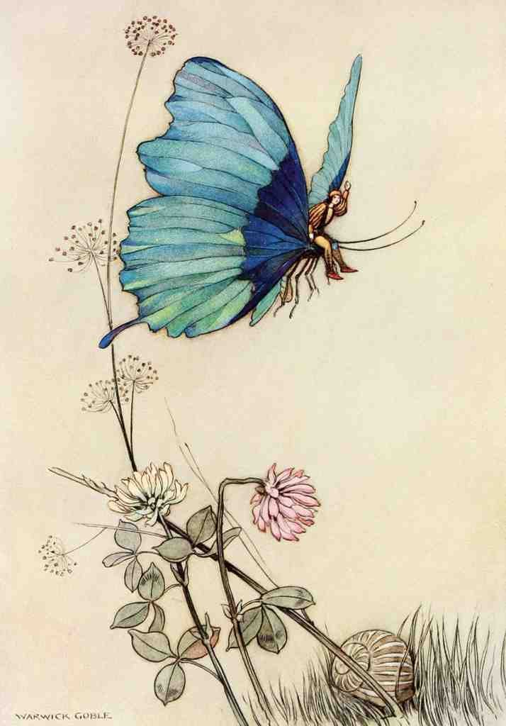 Goble Warwick Fairy Book 1913 Butterfly Took Wing A4 Photo Print
