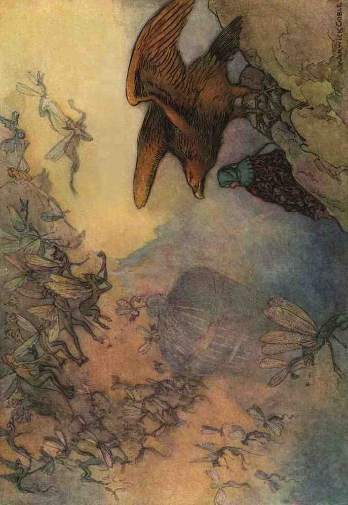 Goble Warwick Geoffrey Chaucer 1912 Winged Wonders Fly A4 Photo Print