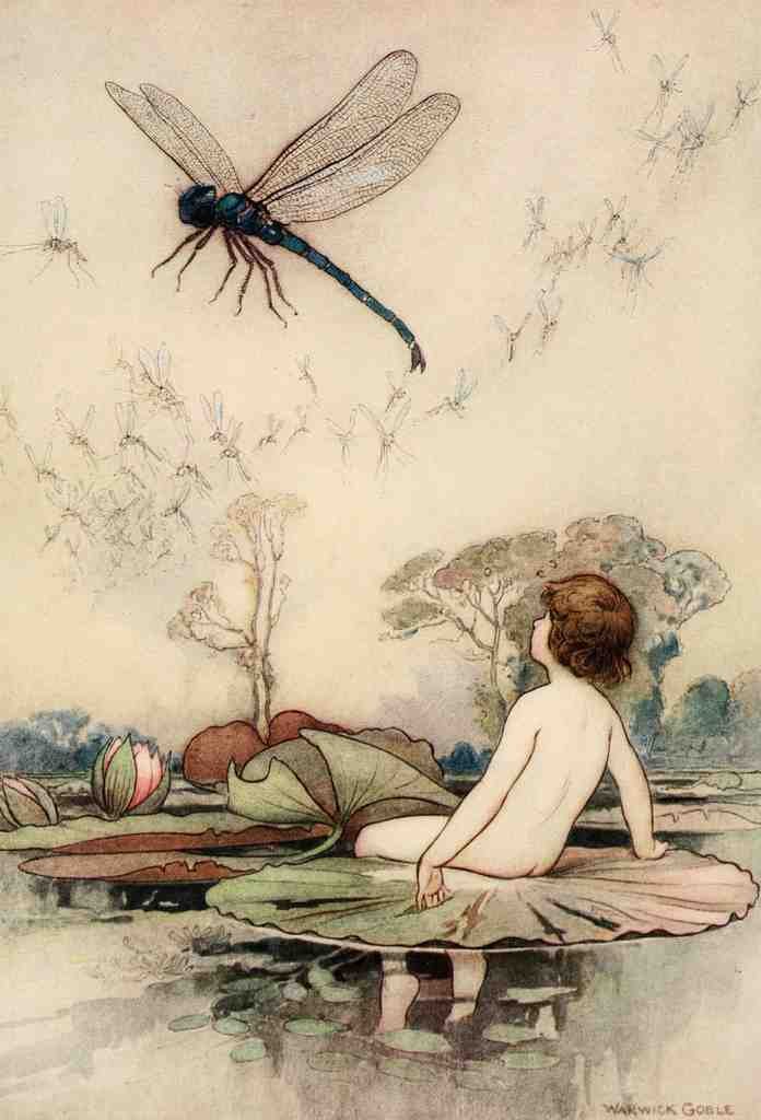 Goble Warwick Water Babies 1909 A Dragonfly A4 Photo Print