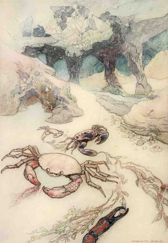 Goble Warwick Water Babies 1909 Islands Roots Were Full Of Caves A4 Photo Print