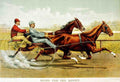 Going For Money Horse 001 Vintage A4 Photo Print