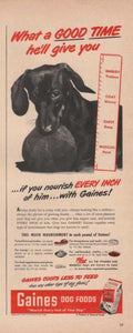 Golden Retriever Foods Vintage Retro Advert Ads A4 Photo Print