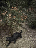 Good Night 1907 3 A4 Photo Print