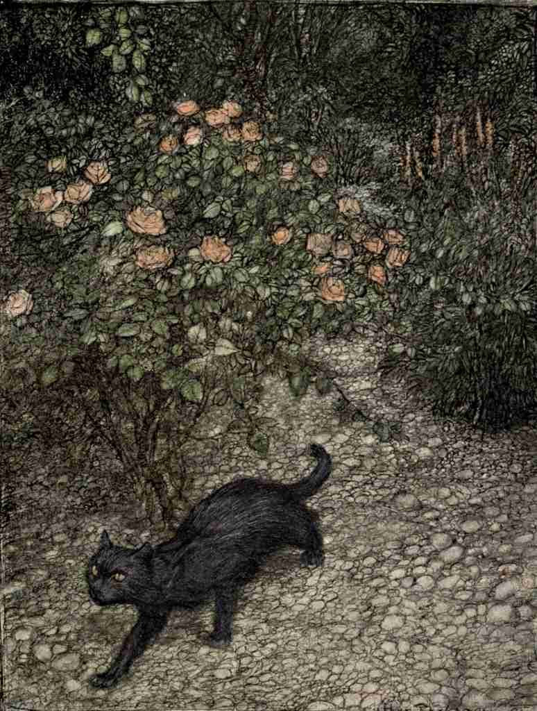 Good Night 1907 3 A4 Photo Print