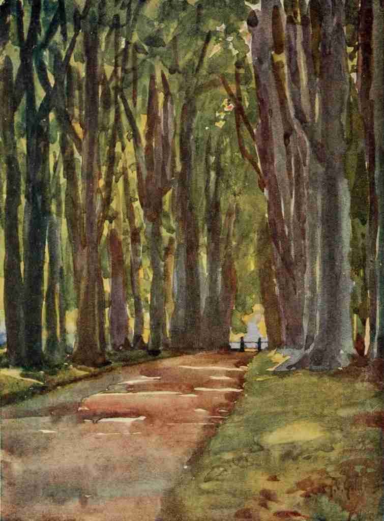 Gotch Thomas Cooper 1854 1931 Round about Wiltshire 1907 In Savernake Forest Vintage A4 Photo Print