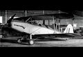 Gotha Go145 Biplane Trainer Aircraft Germany A4 Photo Print