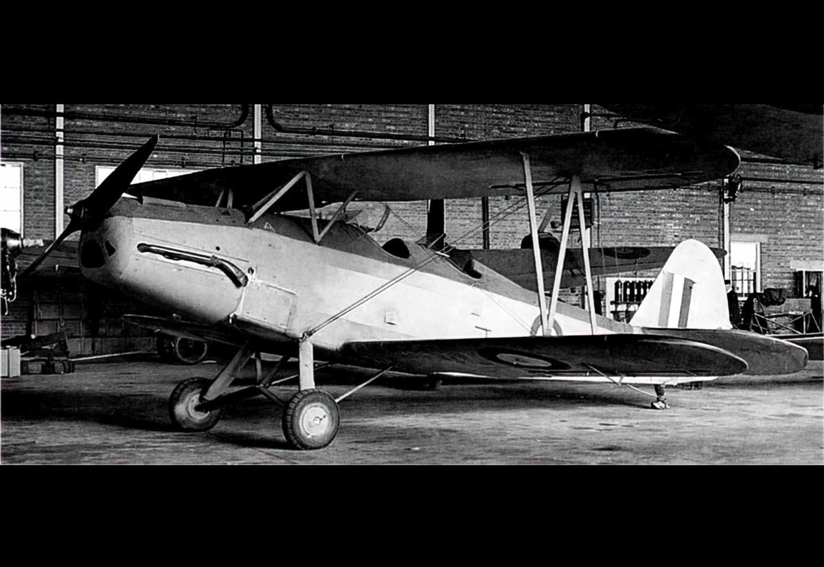 Gotha Go145 Biplane Trainer Aircraft Germany A4 Photo Print