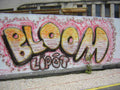 Graffiti Murals Street Art 0020 272 GraffitiBloom Hungary A4 Photo Print
