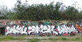 Graffiti Murals Street Art 0045 sl gallery big d15a1a75ae A4 Photo Print
