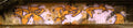Graffiti Murals Street Art 0059 asesr taiwan4 A4 Photo Print