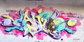 Graffiti Murals Street Art 0071 06 IN web A4 Photo Print