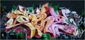 Graffiti Murals Street Art 0079 06 frankfurt A4 Photo Print