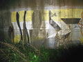 Graffiti Murals Street Art 0192 11344852 A4 Photo Print