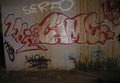 Graffiti Murals Street Art 0210 11345086 A4 Photo Print