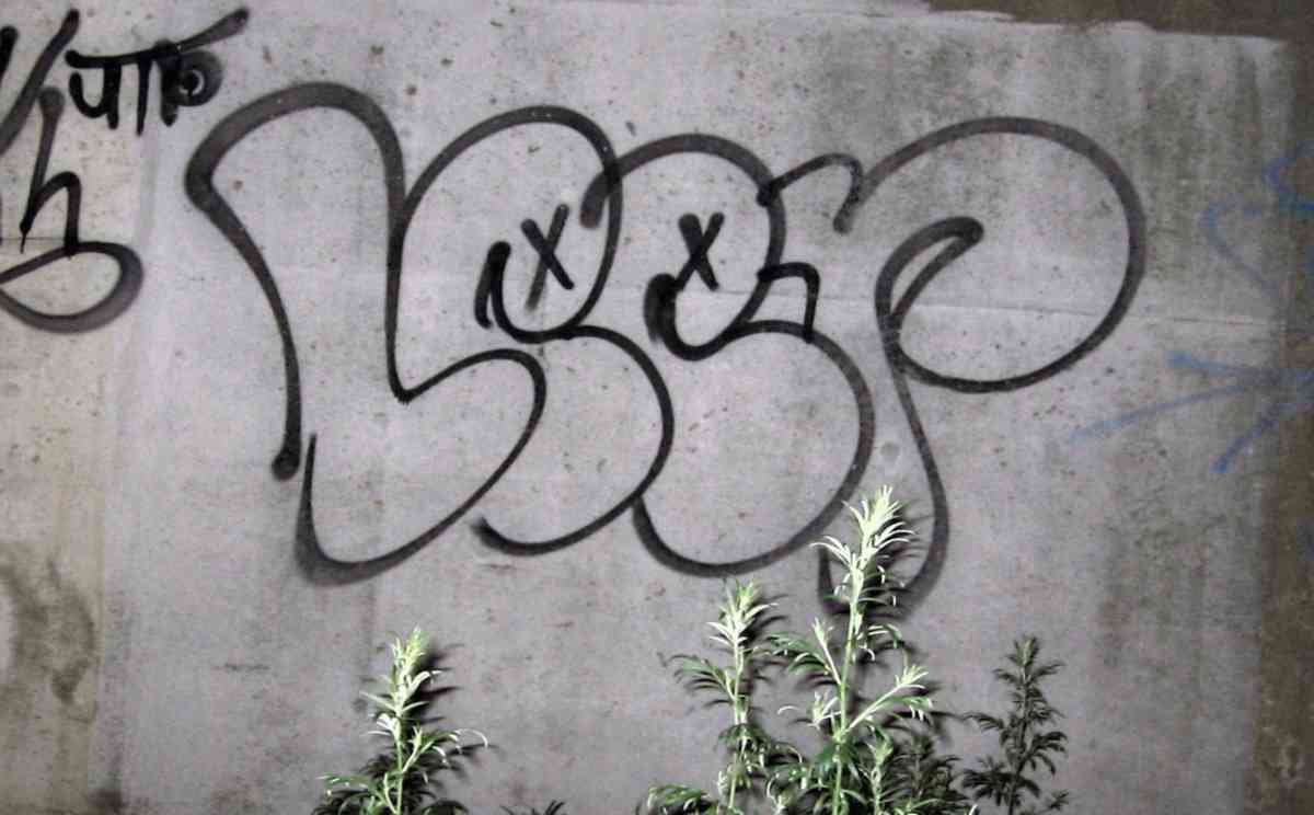 Graffiti Murals Street Art 0219 11344951 A4 Photo Print