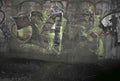 Graffiti Murals Street Art 0232 11345067 A4 Photo Print