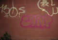 Graffiti Murals Street Art 0237 11956644 A4 Photo Print