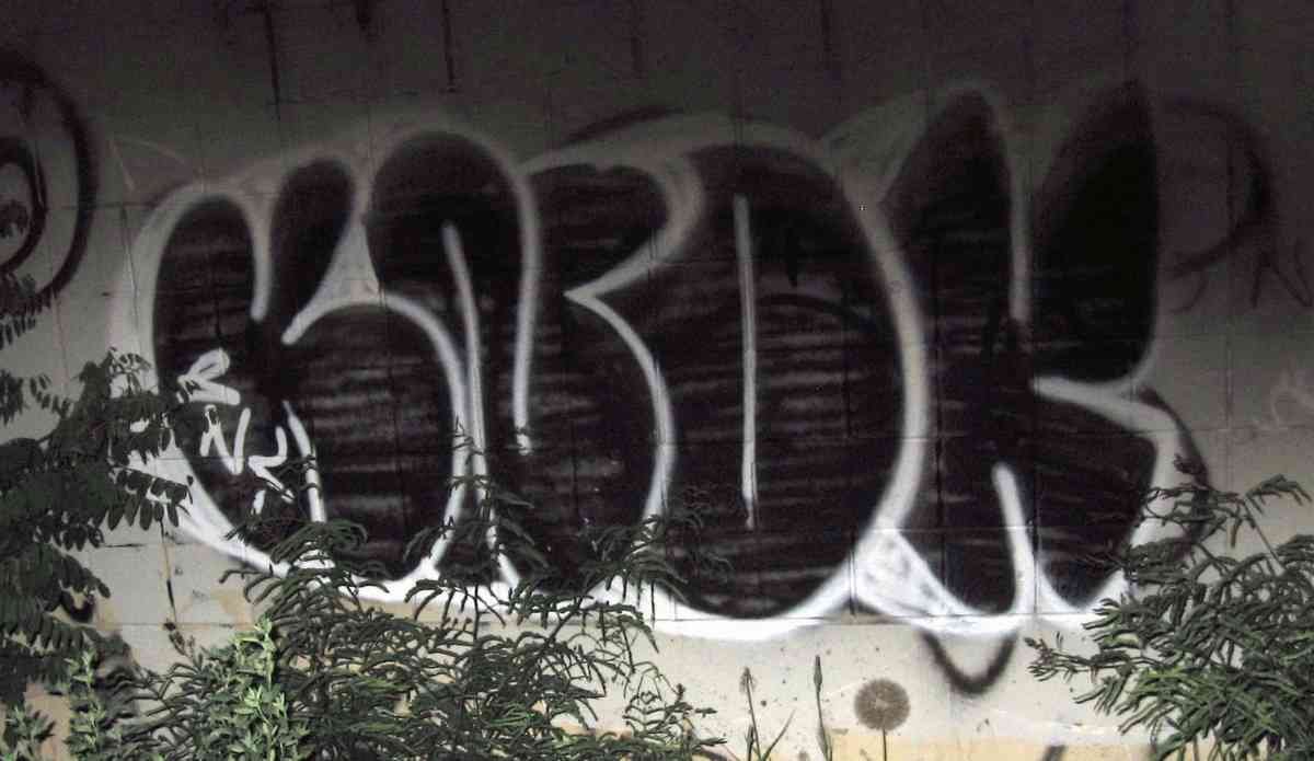 Graffiti Murals Street Art 0240 11956687 A4 Photo Print