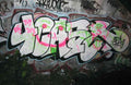Graffiti Murals Street Art 0255 11957496 A4 Photo Print