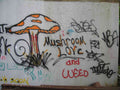 Graffiti Murals Street Art 0257 11550026 A4 Photo Print