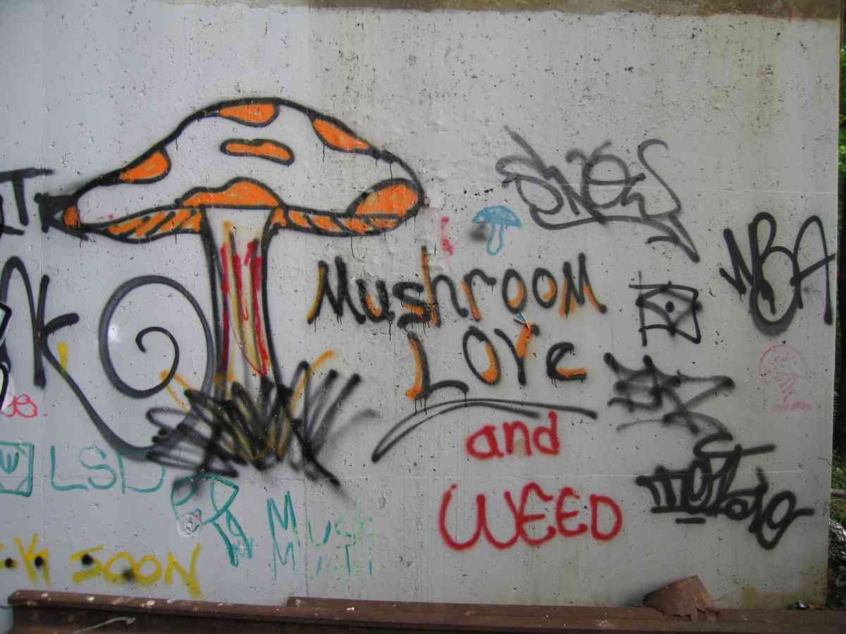 Graffiti Murals Street Art 0257 11550026 A4 Photo Print