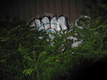 Graffiti Murals Street Art 0284 12204165 A4 Photo Print